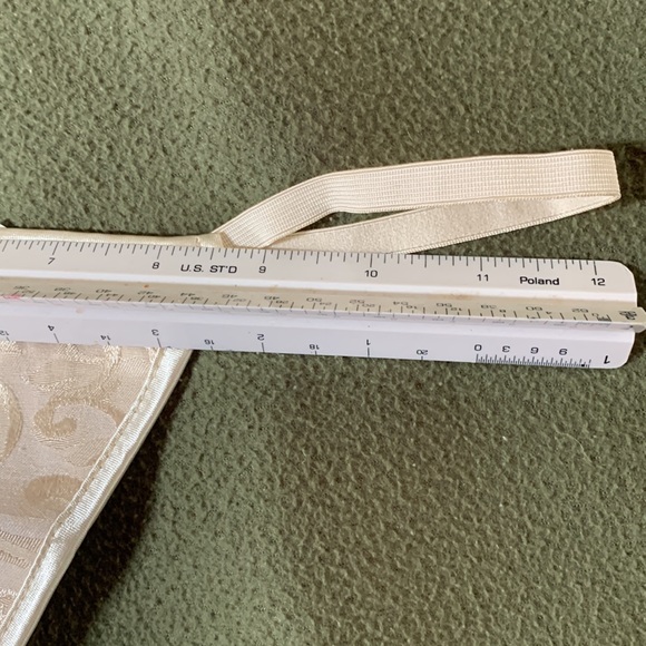New gorgeous cream colored bustier w/ matching thong. Expands from 14.5 to 18.5. - Picture 11 of 11